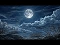 LOFI ~ CHILLHOP ~ Dreams ~ music for chill n relax 🌬️ ~ for study or sleep 💤