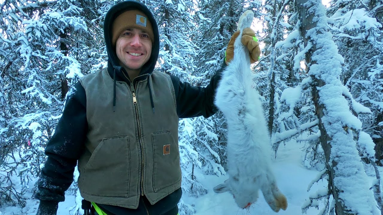 Trapping & Cooking Snowshoe Hare YouTube
