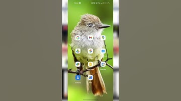 How To Choose Your Youtube Handle | Youtube Handle Kaise Banaye | @ManojDey #shorts