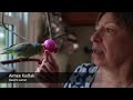 Basel the Parrotlet Comes Home