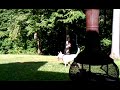 2012 Pig Dog, bull terrier, in the sprinkler