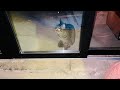 黒猫が亡くなった夜に突然の訪問者が！【前編】An unexpected visitor on the night my son's black cat died!