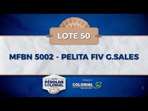 LOTE 50 MFBN 5002