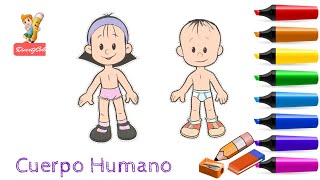 🚀Aprende a Dibujar✍ el cuerpo humano👦 niño y niña🧒 draw a girl and boy, body, Dibujos para niños