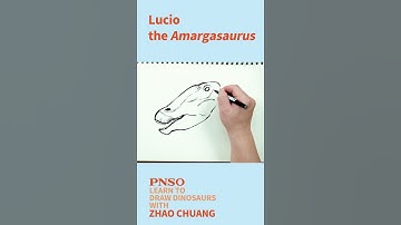 Head Close-up Drawing of Amargasaurus-Learn to Draw Dinosaurs with ZHAO Chuang #pnso #howtodraw