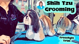 GROOMING a SHIH TZU in a FLATTERING Freestyle haircut.