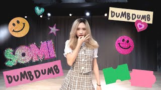 SOMI(소미) - DUMB DUMB Dance Cover from Taiwan | All enJoy