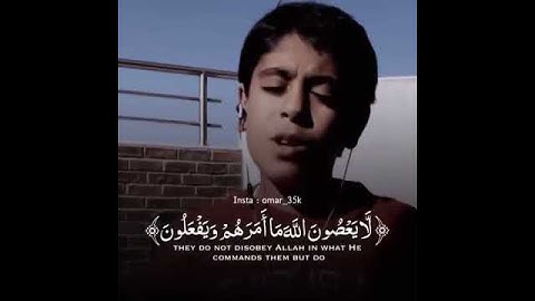 ما شاء الله.وهوا بهاذ العمر صوته جميل ♥))القارئ أنس شهاب