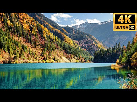 Vídeo: 30 Imagens Incríveis Da Vida Selvagem Norte-americana