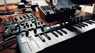 Subharmonicon, Strega, 0-COAST and Keystep Jam