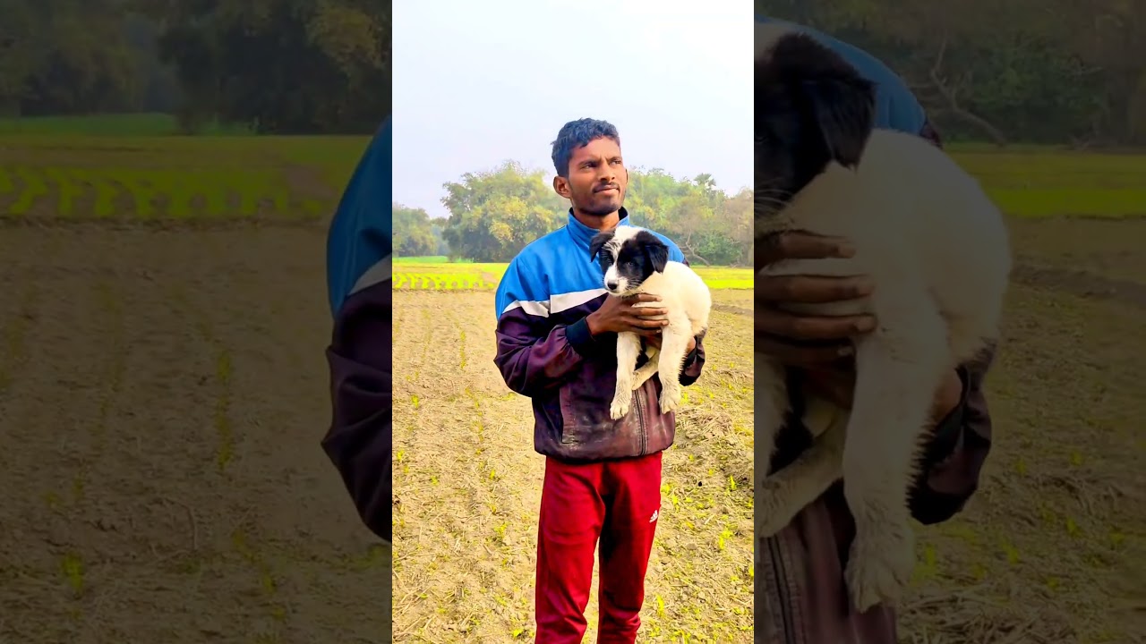 new post trading video 