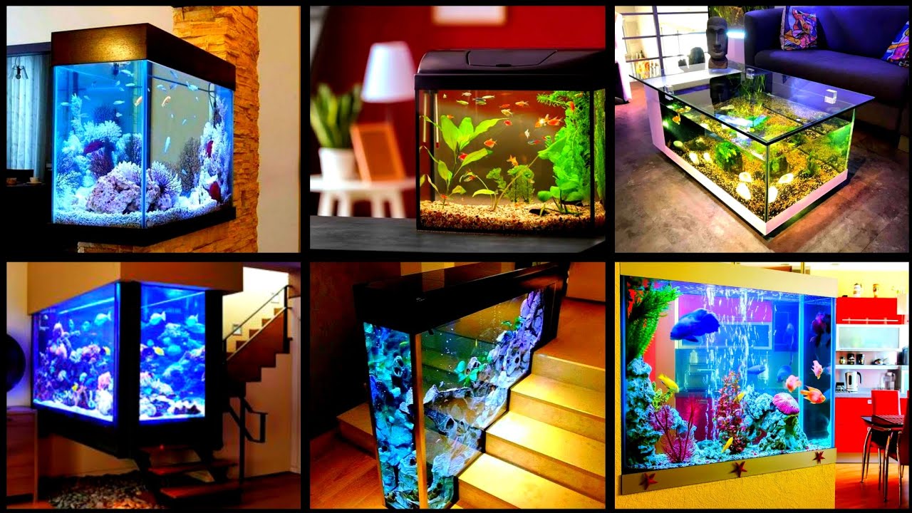 View of Unique & Elegant Fish Aquarium Designs To Level Up Your Home ...