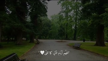 قرآن كريم بصوت عبد الرحمن مسعد - حالات واتس اب دينية - تلاوه تريح القلب 💚.