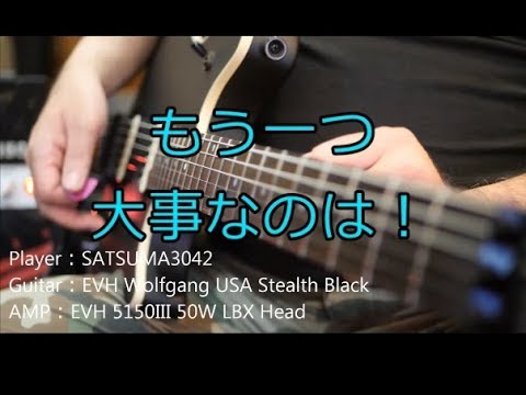 VANHALEN ギターピック 2枚セット VANHALEN ギターピック 2枚セット VANHALEN ギターピック 2枚セット