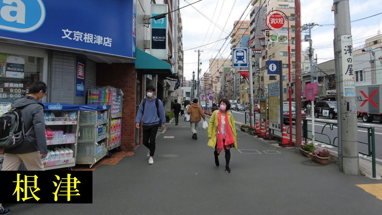 根津 神社　Tokyo Walking 🌞4K　Nezu　Azaleas　&　Shopping Streets　Japan🎧HQ Binaural　ツツジ　（文京区）　睡眠用・東京散歩