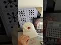 Unboxing the Cardputer, ​⁠@anthropic-ai  thanks for this of the Code w/ Claude conference! #Unboxing