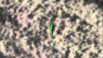 XNA Game Animation Test 1