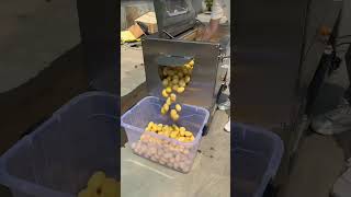 Potatowashingandpeelingmachine#Potato#Slicer#PotatoPeeler#Potatochipsandfren#FoodProcessingEquipment