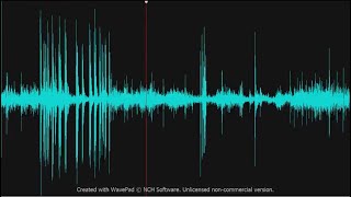 (Slowed to 12) survivor.rar (Audacity - Import - Raw Data)