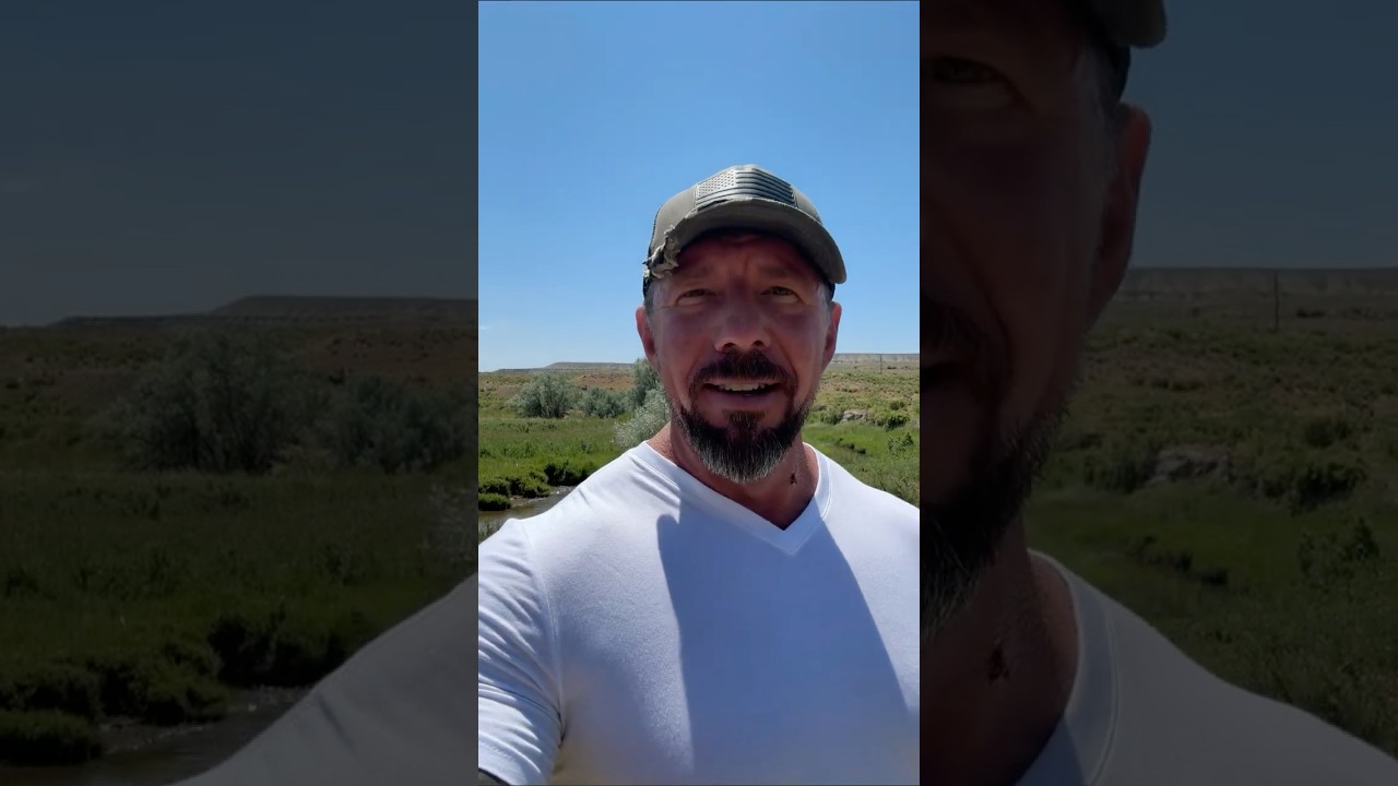 The Mainstream Media Isn’t Journalism — It’s Psychological Warfare.