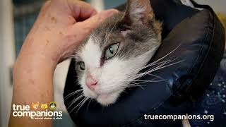 MaxFund is now True Companions: Rebrand Commercial Announcement