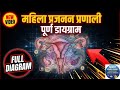 महिला प्रजनन प्रणाली पूरा डायग्राम | Female Reproductive System Class 10 Biology in Hindi