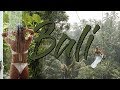 30 DAYS IN BALI | CINEMATIC TRAVEL VIDEO