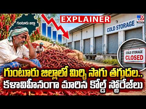 Explainer : గుంటూరు జిల్లాలో మిర్చి సాగు తగ్గుదల....కళావిహీనంగా మారిన కోల్డ్ స్టోరేజ్‌లు - TV9 - TV9