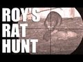 Fieldsports Britain - Roy's rat hunt