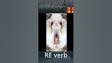 Screaming goat meme sound effects in reverse reverb pitch