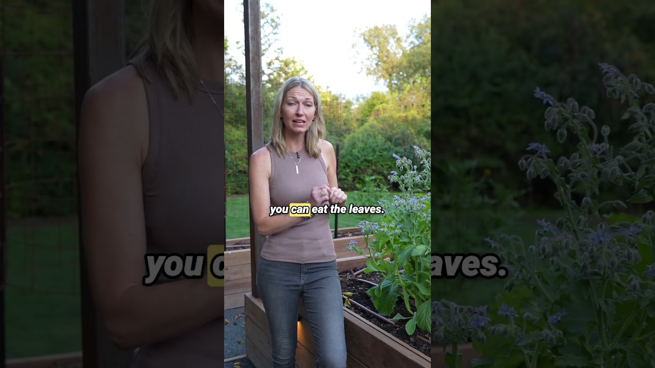 Этот цветок на вкус как огурец?!