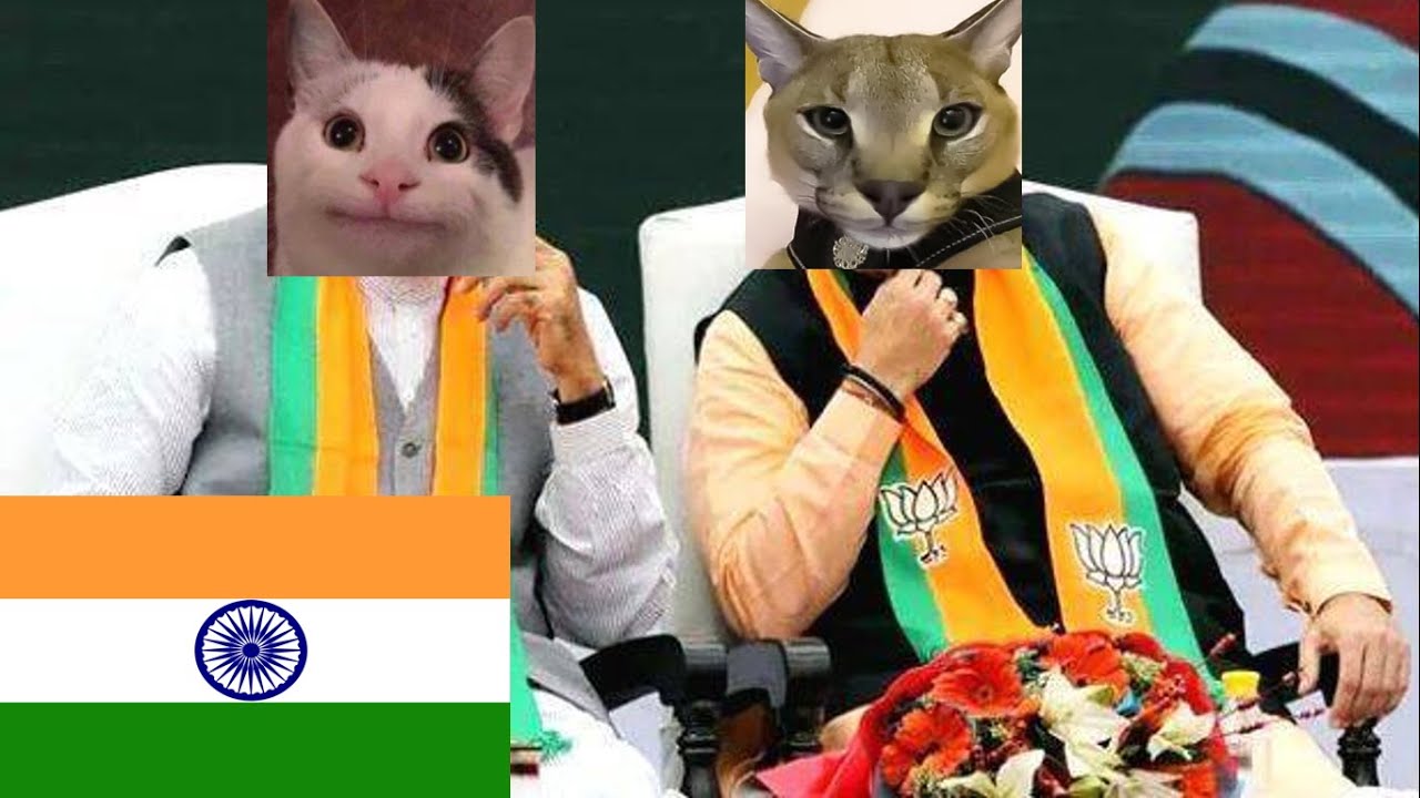 When Beluga wants to be prime minister of INDIA... (Beluga Modi)