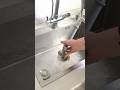2 spray modes in 1!Powerful flow & easy install, perfect for commercial kitchen.
