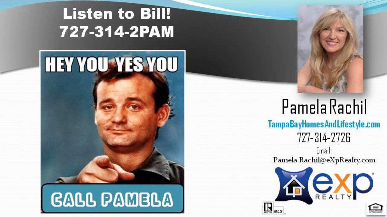 Who is the Best real estate agent in Palm Harbor FL YouTube