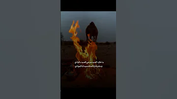 يا طارد الذيب عين الذيب مكحوله Foryou 