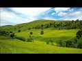 Land of my fathers / Hen Wlad Fy Nadhau - Tin whistle