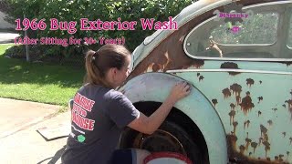 1966 Volkswagen Beetle Exterior Wash