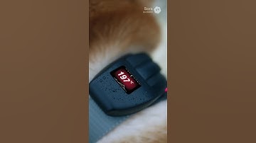 驚異の温度センサー！最新テクノロジーの実力を体感しよう