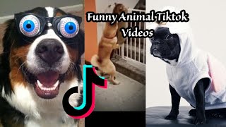 Funniest Animal TikTok Compilation April 2024 HD