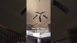 This Is What Happens When Your House Cant Breathe 