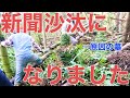 【熊本・怨念谷へ潜入!】人吉切腹怨念墓と隠れキリシタン考を追う!歴史的大発見をしてしまった!