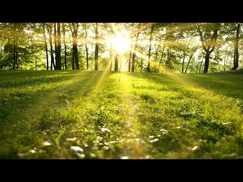 Healing Meditation Music, Relaxing Music, Calming Music, Stress Relief Music, Peaceful Music, ☯3181