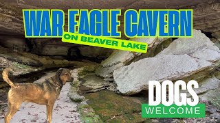Guided War Eagle Cavern Tour by a Country Storyteller/Dog-Friendly and Informative