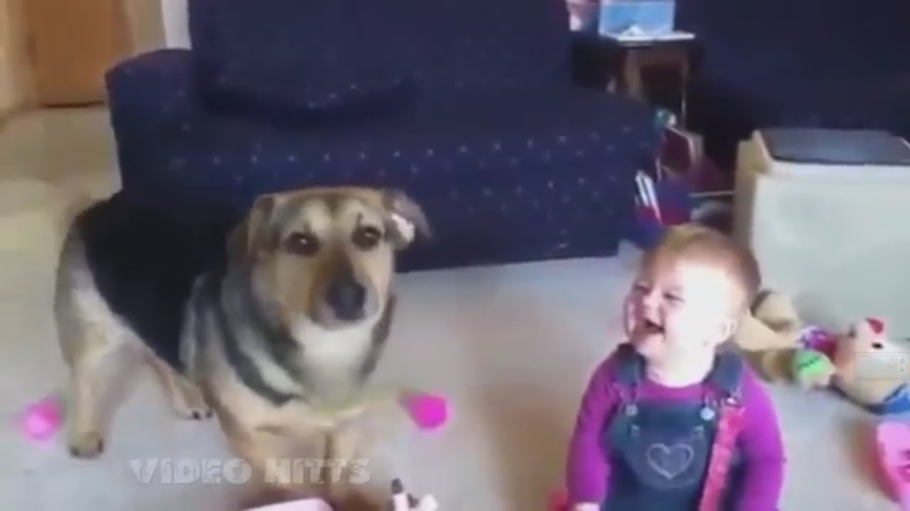 Приколы с детьми и животными. Подборка приколов смотреть