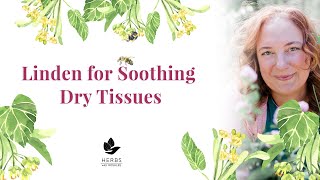 Linden Tea Benefits for Dry, Inflamed Tissues