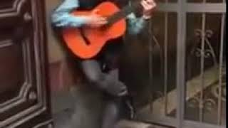 Download lagu DAYI SEN NE YAPTIN ÖYLE DAYI SEN NE YAPTIN ÖYLE