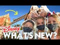 FIRST TIME AT DISNEY WORLD SINCE IT REOPENED *should you go?*