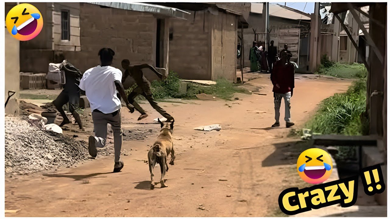 أطرف مقاطع الشهر #76 - حياة أشخاص مضحكة حاول ألا تضحك 😂🤣🔥