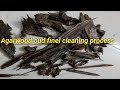 Agarwood Oud Final Cleaning Process | Pure Oud Preparation Step by Step