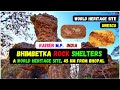 Bhimbetika  bhim betika  bhimbetika rock  bhimbetika caves  bhimbetika rock shelters bhimbatika